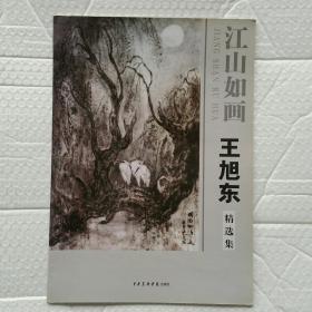 江山如画 王旭东精选集