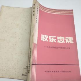 歌乐忠魂 ——中美合作所集中营里的斗争