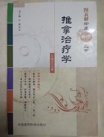 图表解中医备考丛书：推拿治疗学