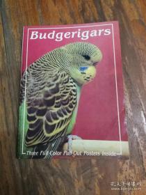 BUDGERIGARS【彩印插图本】