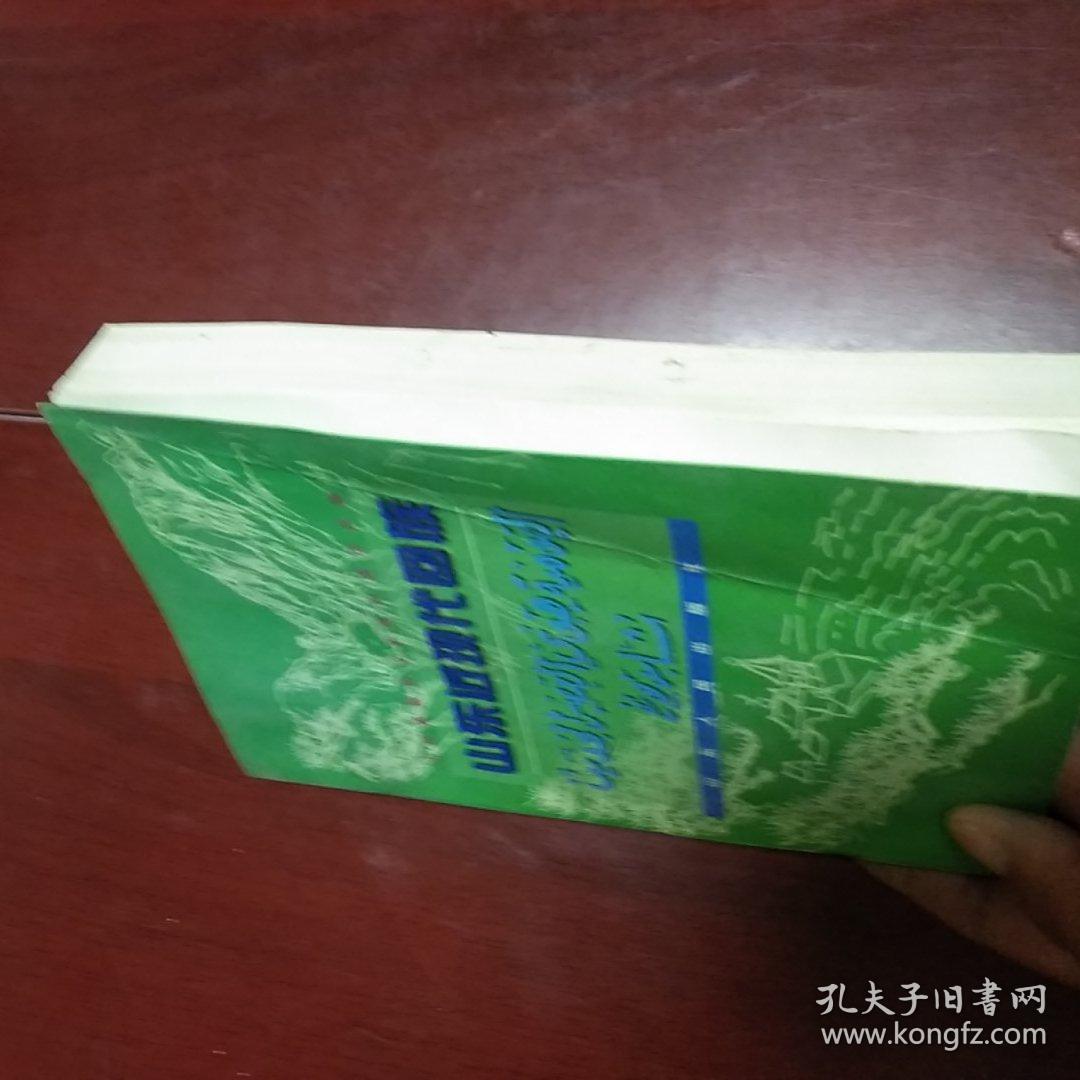 山东近现代回族