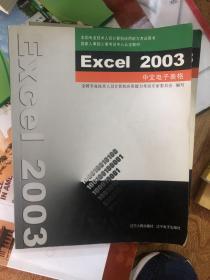 Excel 2003中文电子表格