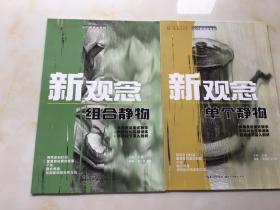 你一定能上大学 入门新观念系列：（新观念 组合静物+新观念 人物速写+新观念 单个几何体+新观念 组合几何体+新观念 单个静物）五本合售