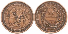 土耳其 2015年 纳斯列丁英雄故事一 2.5里拉 仿古纪念币