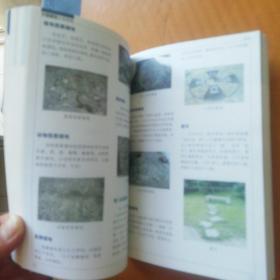 中国建筑分类图典