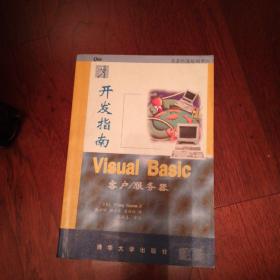 Visual Basic客户/服务器开发指南