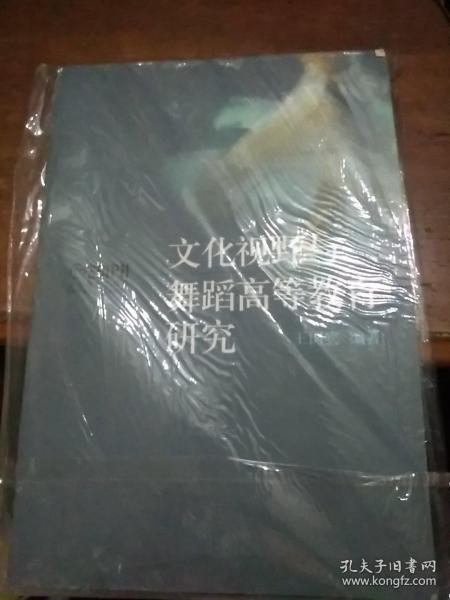 北京舞蹈学院教材：文化视野与舞蹈高等教育研究