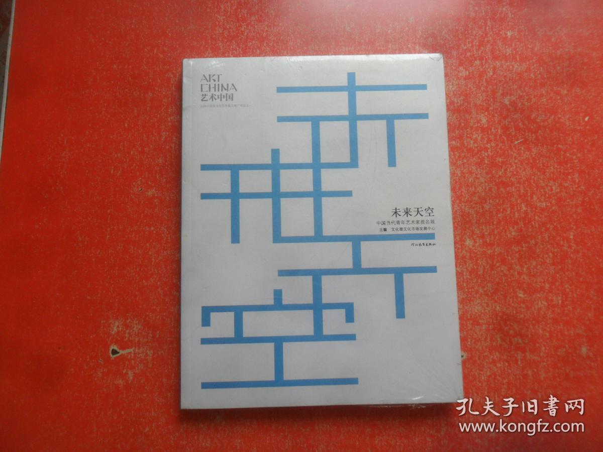 未来天空：中国当代青年艺术家提名展（未开封）