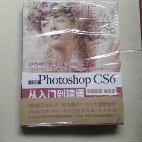 中文版Photoshop CS6从入门到精通（微课视频 全彩版）