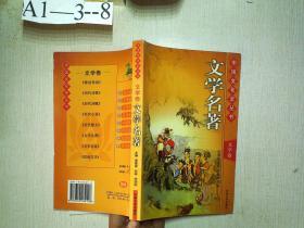 中国文化史丛书  文学卷：文学名著
