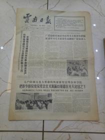 云南日报1966年8月
