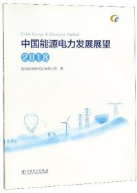 正版包邮 中国能源电力发展展望.2018