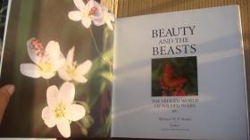 BEAUTY AND THE BEASTS:The Hidden World of Wildflowers 《美女与野兽：隐秘的野花世界》 英文原版 布面精装+书衣 10开大画册，图文并茂