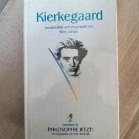 Kierkegaard.Ausgewählt und vorgestellt von Boris Groys 《克尔凯郭尔文集》 德语原版