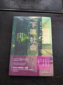 下流社会：一个新社会阶层的出现