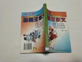 小学生金霸王作文精品