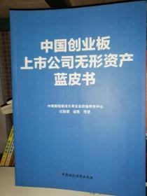中国创业板上市公司无形资产蓝皮书 2012-2013年