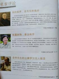 金申书画作品集(慧剑禅心·动静相宜 当代禅画第一人 一代宗师 金申书画作品集)【中国国家博物馆馆长吕章申题书名、范曾评金申：我的画贵，金先生的画好、范扬评金申：金申先生的达摩罗汉无人能及、刘大为评金申：笔墨娴熟，章法有序……】