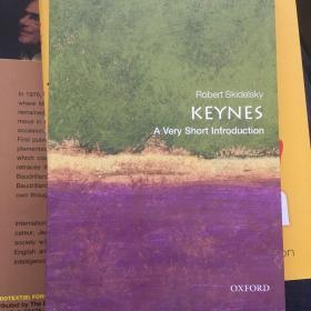 Keynes: a very short introduction