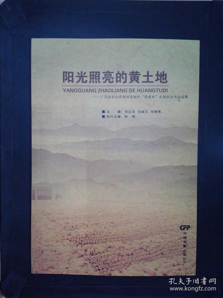 阳光照亮的黄土地:广河县非公有制经济组织“党建杯”全国征文作品选辑