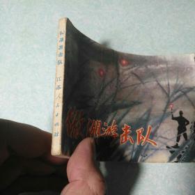 连环画(小人书)：  微湖游击队 1983年一版一印，64开
