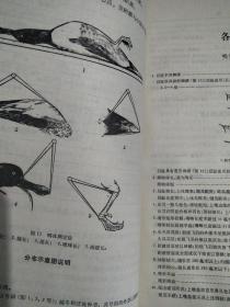 《中国动物志》鸟纲第二卷