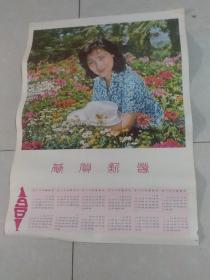 恭贺新禧1981年年历画