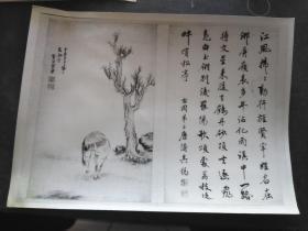 中国古代书画黑白照片B18