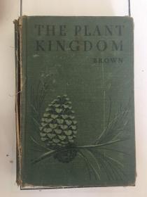 山东大学藏书：the plant kingdom