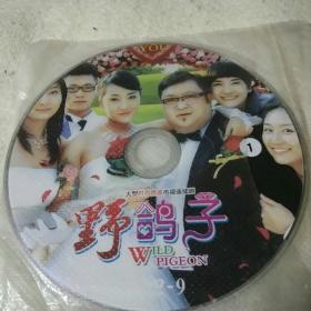 DVD-9野鸽子双碟