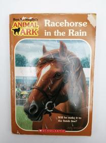 Racehorse in the Rain (Animal Ark Holiday Treasury #2) (Animal Ark Series #39) 英文原版-《雨中赛马（动物方舟系列39）》