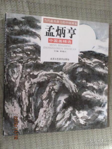 正版 当代最具潜力的中国画家 孟炳亨中国画精选 北京工艺美术出版社