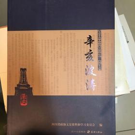 辛亥波涛:纪念辛亥革命暨四川保路运动一百周年文集