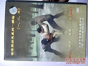 徐世熙功夫系列 5VCD