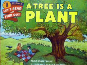 英文原版    少儿绘本      Science,Let's Read and Find out,Level 1: A Tree is a Plant    树就是植物