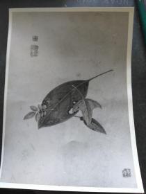 中国古代书画黑白照片B10