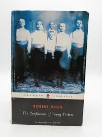 The Confusions of Young Törless (Penguin Twentieth-Century Classics) 英文原版-《年轻无厘头的困惑（企鹅21世纪经典系列）》