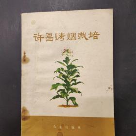 许昌烤烟栽培