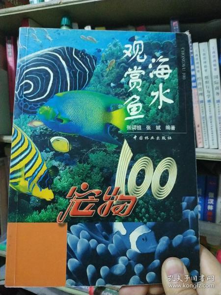 海水观赏鱼：宠物100