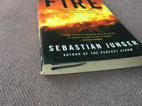 Fire / 火如何灼痛它自己 (英语 纽约时报畅销书榜)