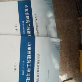 山东省建筑工程消耗量定额   上下  2016