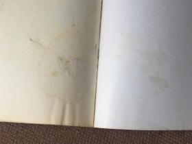 Natasha and Other Stories / 世界上第二强壮的人 （英语）