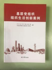 基层党组织组织生活创新案例