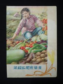 老画页1张(正面：“菜绿瓜肥产量多”，背面：“迎接新的任务去”) 。   (编号01)