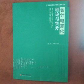 会计电算化理论与实务