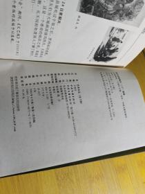 大地神韵 画家王界山签赠本