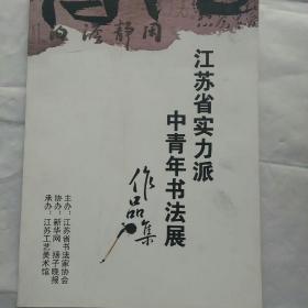 江苏省实力派中青年书法展作品集