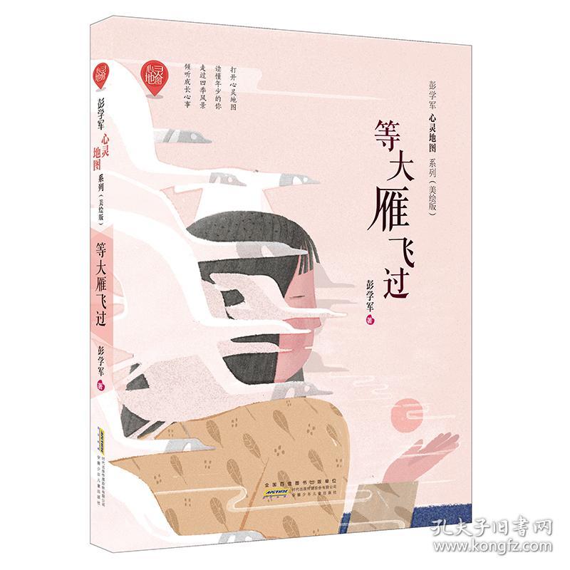 彭学军心灵地图系列(美绘版)：等大雁飞过