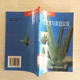 芦荟欣赏与家庭盆栽（馆藏）