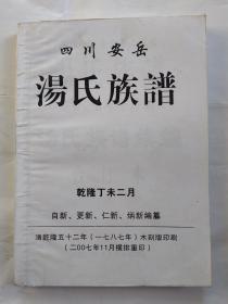 四川安岳汤氏族谱(附图)2007年横排2008年重印.大32开